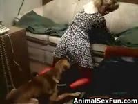 Sexy lady's pussy got fucked by dog having animal sex fun